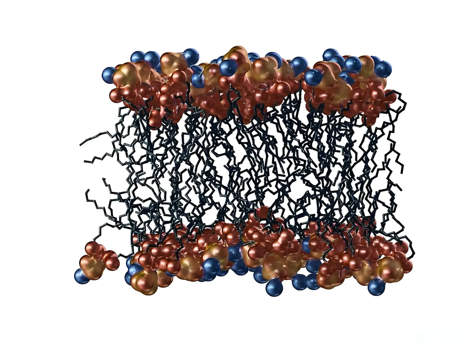 Lithium battery chemical instability